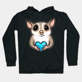 Sugar Glider Blue Heart for Sugar Glider Lovers Hoodie